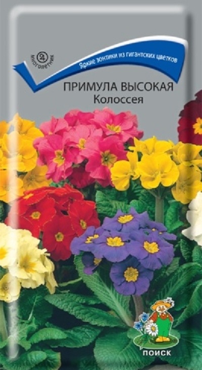 47cde0e432a215d593a26edb41a19a85