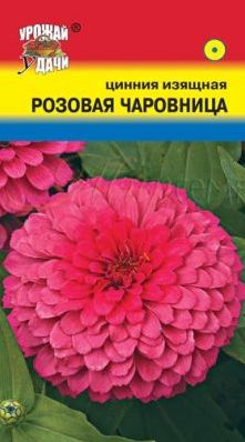 Семена Цинния (Урожай Удачи) Розовая чаровница 0,3г