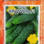 48e43ff9cf47fb22797fe77406e6e1d1