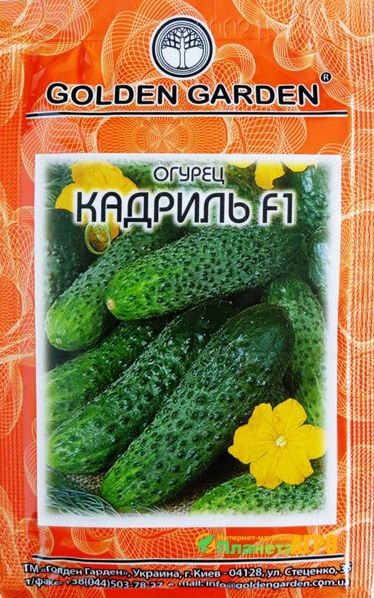 48e43ff9cf47fb22797fe77406e6e1d1