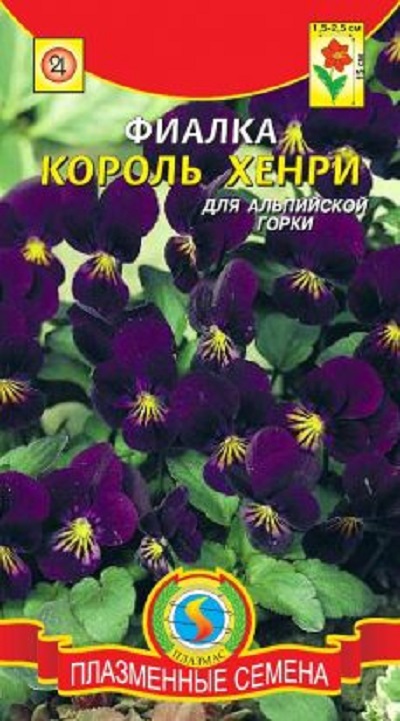 Семена Фиалка (Плазма) Король Хенри