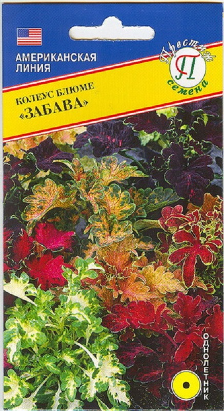 Семена Колеус (Престиж) Забава