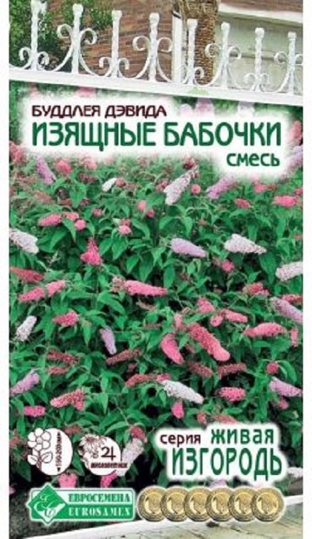 Семена Буддлея (Eurosamen) Давида Изящные бабочки