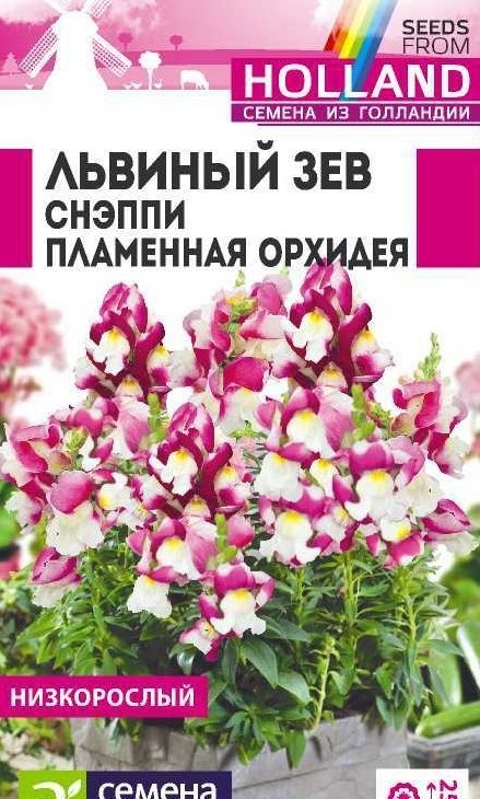 4d0ffd0fcd2bafeac7465c4f444f279c