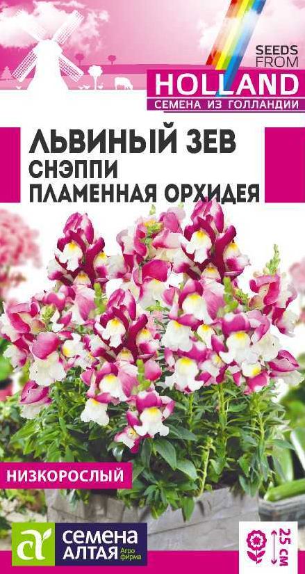 Семена Львиный зев (Семена Алтая) Снэппи Пламенная орхидея 7шт