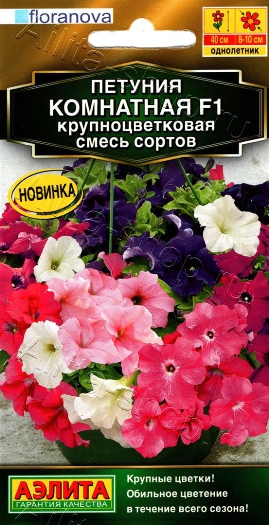 Семена Петуния Комнатная (Аэлита) смесь 7шт