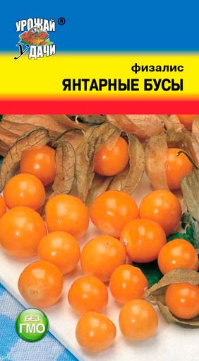 Семена Физалис Янтарные Бусы (Урожай Удачи) 0,3 гр.
