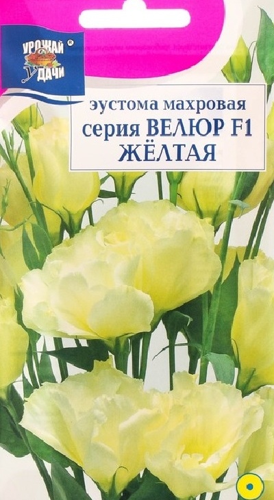 508ec0491c6fca16f98d983eb2b45f18