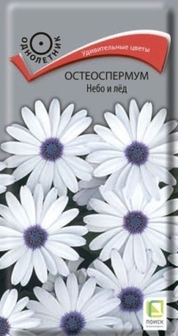 Семена Остеоспермум (Поиск) Небо и лед 0,1г