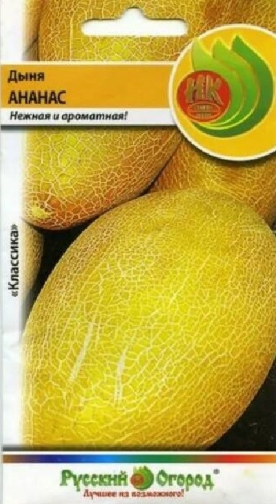 52ee1ab030fe0a118d3afaf9102e6ad1
