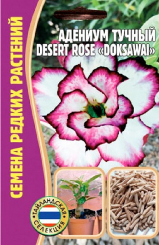 Семена Адениум (Редкие семена) Доксавай (Doksawai) 3шт