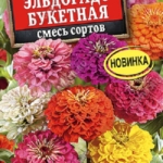 53ee1efd212dcccfda81f61eadcbbe5c