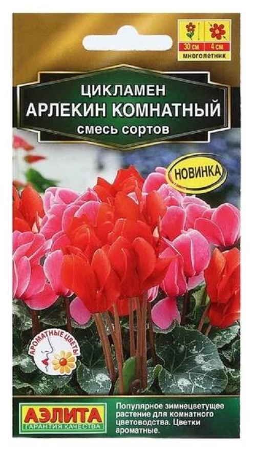 Семена Семена Цикламен (Аэлита) Арлекин комнатный 3шт
