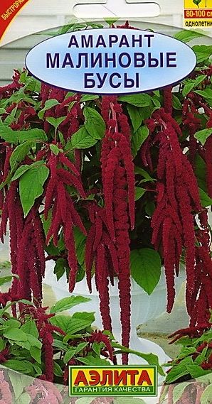 Семена Амарант (Аэлита) Малиновые бусы 0,2г