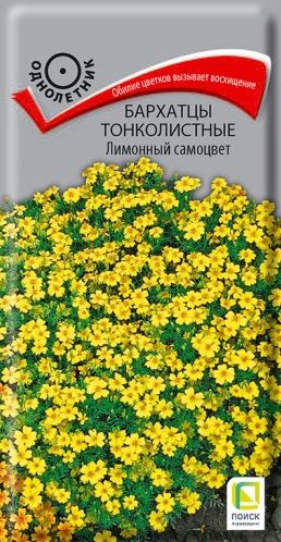 Семена Бархатцы (Поиск) Лимонный самоцвет 0,1гр