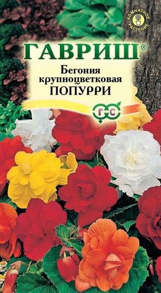 Семена Бегония (Гавриш) Попурри смесь