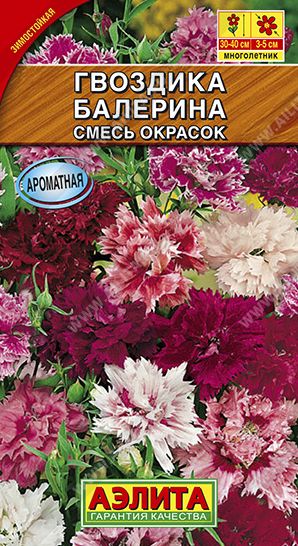 Семена Гвоздика (Аэлита) Балерина
