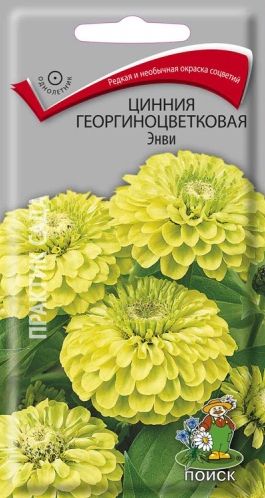 Семена Цинния (Поиск) Энви 0,4гр