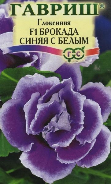 Семена Глоксиния (Гавриш) Брокада синяя с белым 4шт