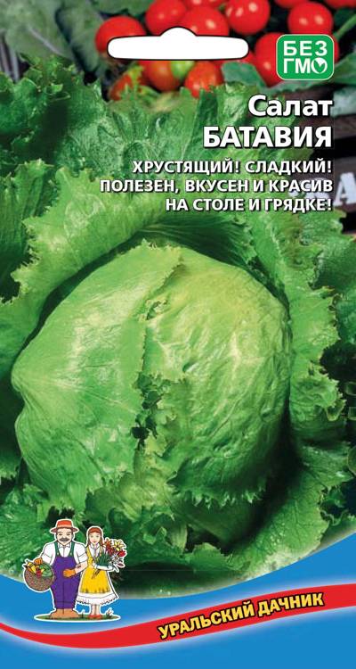 Семена Салат Батавия ц/п (УДачник) 0,25гр.