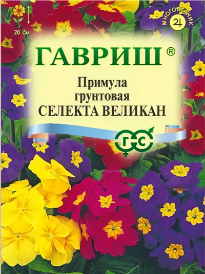 Семена Примула (Гавриш) Селекта Великан смесь
