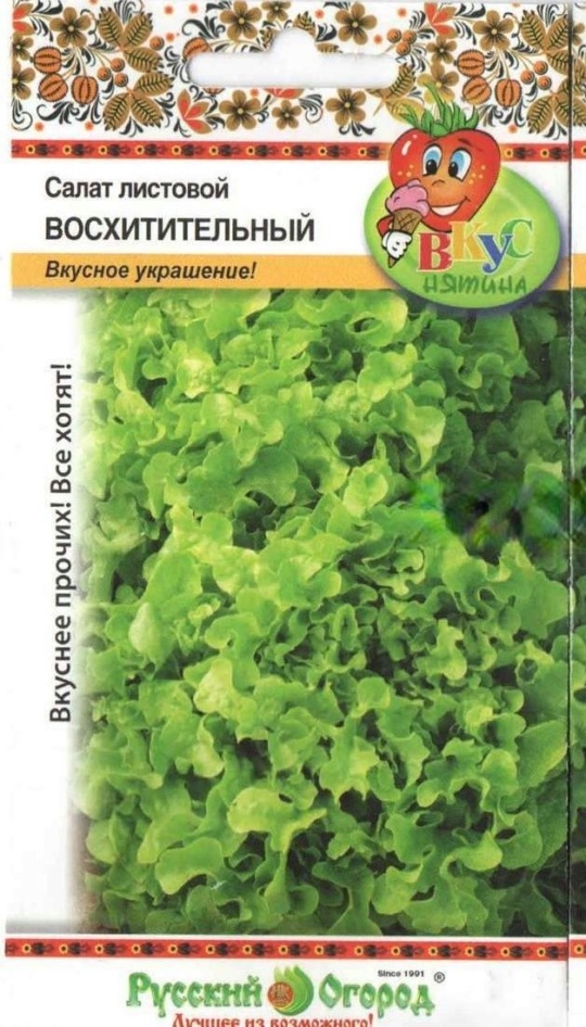 Семена Салат Восхитительный (НК)