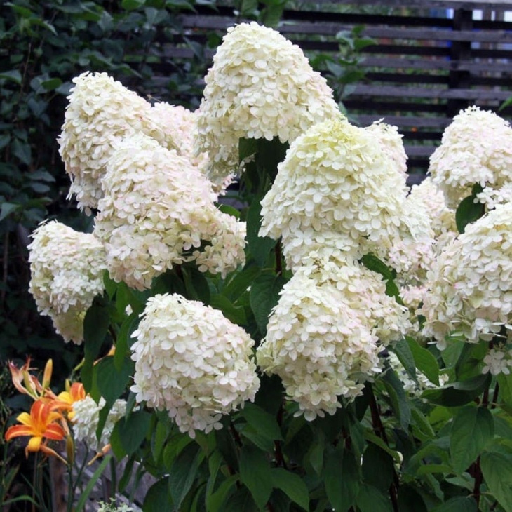 5c2f308c8c8458ddd0cecba07c7d81bb