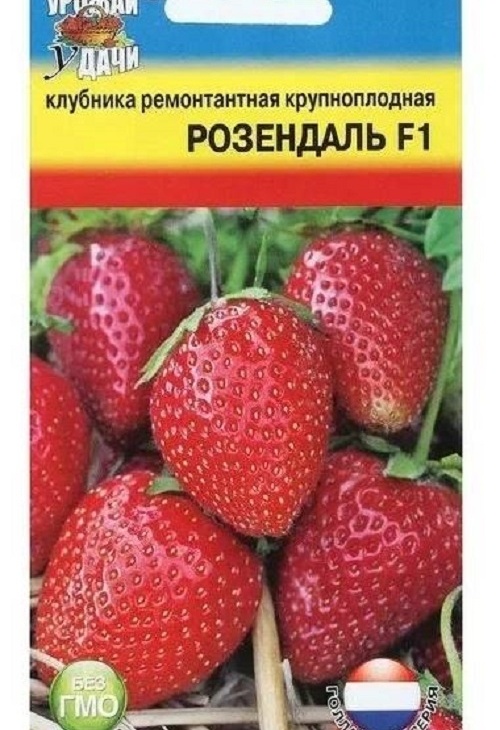 5c924bc3f1c5f0e38867bd1cb3909e36
