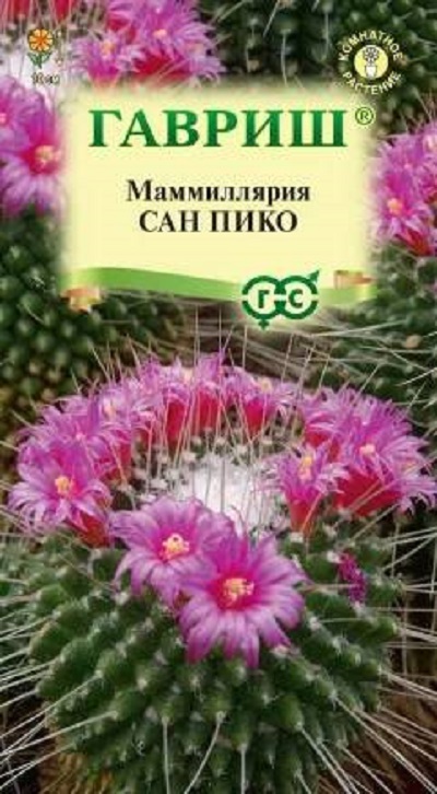 Семена Маммиллярия (Гавриш) Сан пико 2шт