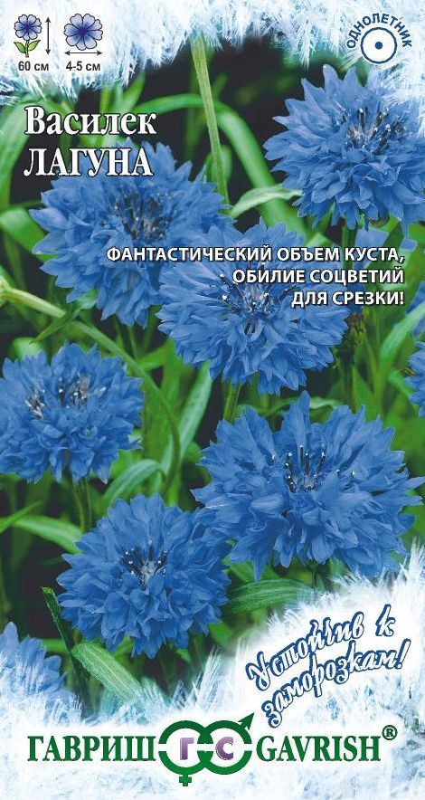 Семена Василек (Гавриш) Лагуна 0,2г