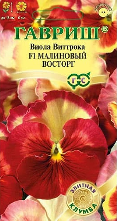 Семена Виола (Гавриш) Малиновый восторг
