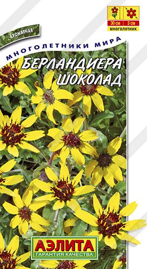Семена Берландиера (Аэлита) Шоколад