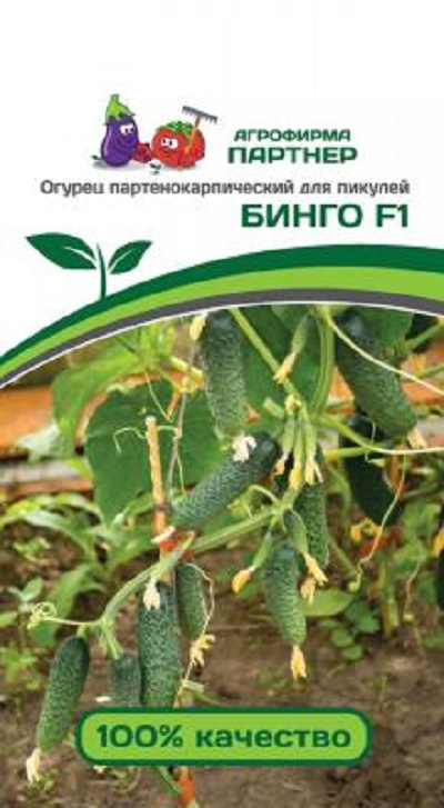 Семена Огурец Бинго (Партнер) 5шт.
