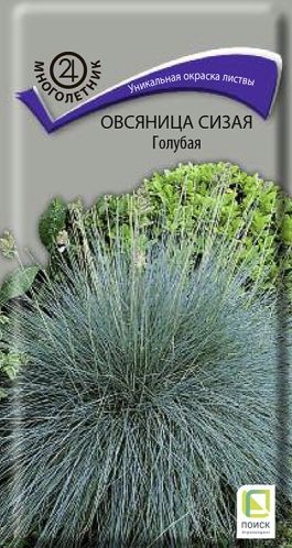 Семена Овсяница (Поиск) Голубая  0,1г