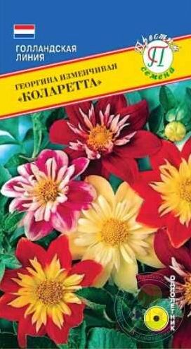 Семена Георгина (Престиж) Коларетта 12шт