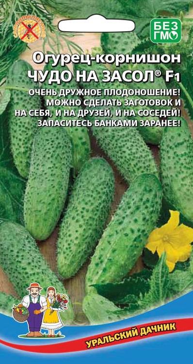 Семена Огурец Чудо на засол (УДачник)10шт.