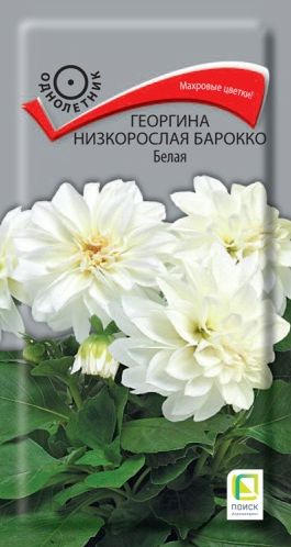 Семена Георгина (Поиск) Барокко Белая 0,1гр