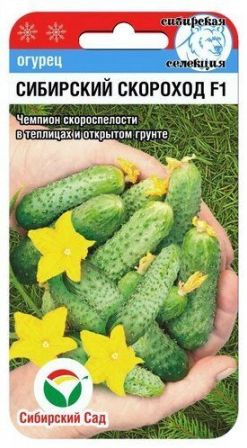 Семена Огурец Сибирский скороход (Сиб.сад) 7шт