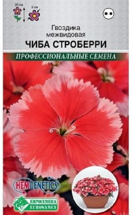 6ac3ac1500d3fff42ee7d1b8837f849e