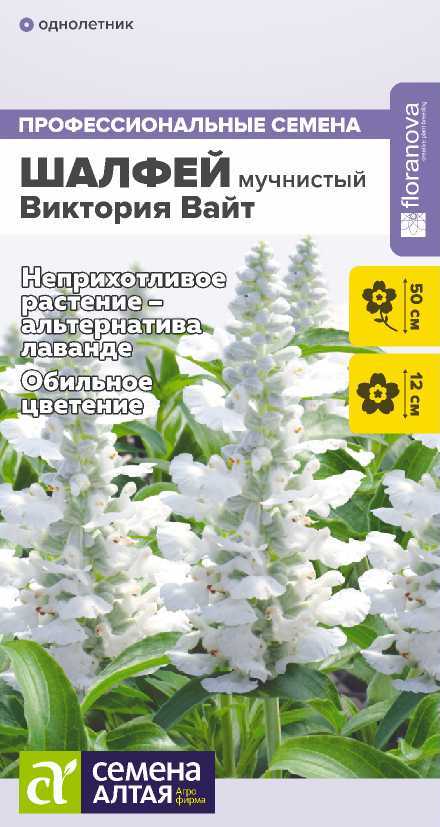 Семена Шалфей (Семена Алтая) Виктория Вайт 10шт