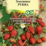 6b77810e040bf0ea7bc18adf7b3fe165