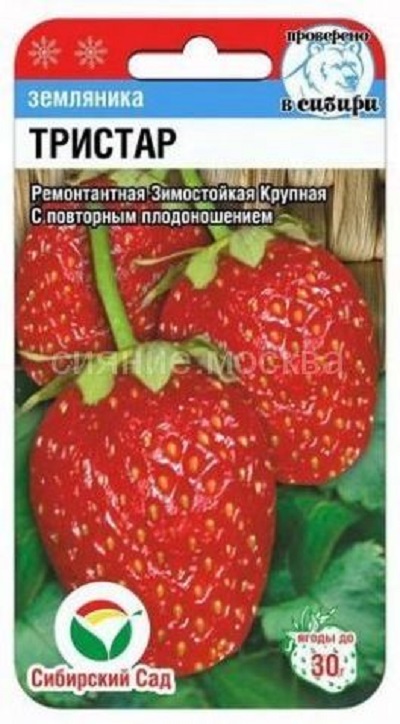 Семена Клубника Тристар (Сиб.сад) 10шт
