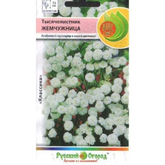 Семена Тысячелистник (НК) Жемчужница