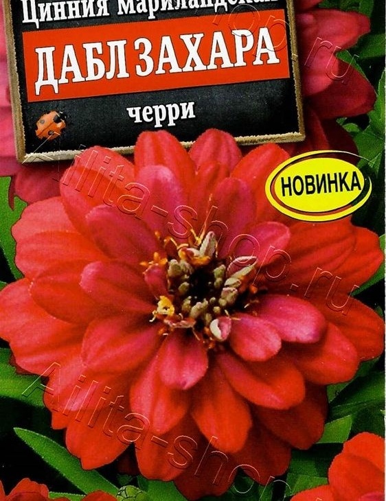 6d1ff0b60da259b96dbe4826d66c83ee