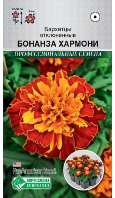 Семена Бархатцы Бонанза (Eurosamen) Хармони 10шт