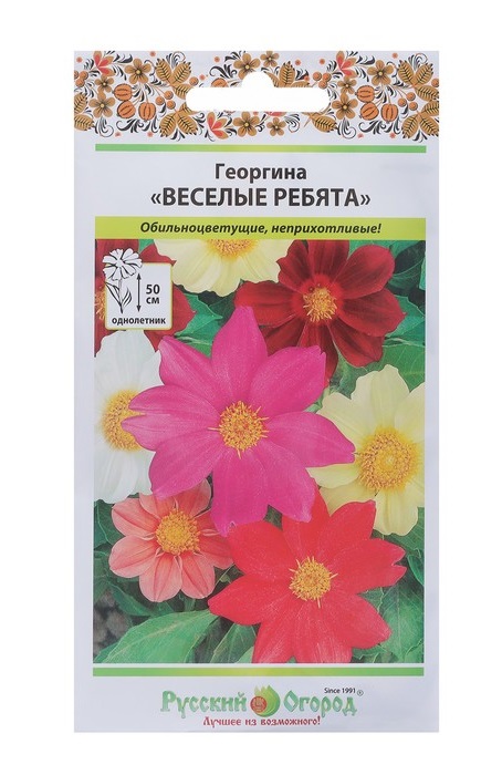 Семена Георгина (НК) Веселые ребята