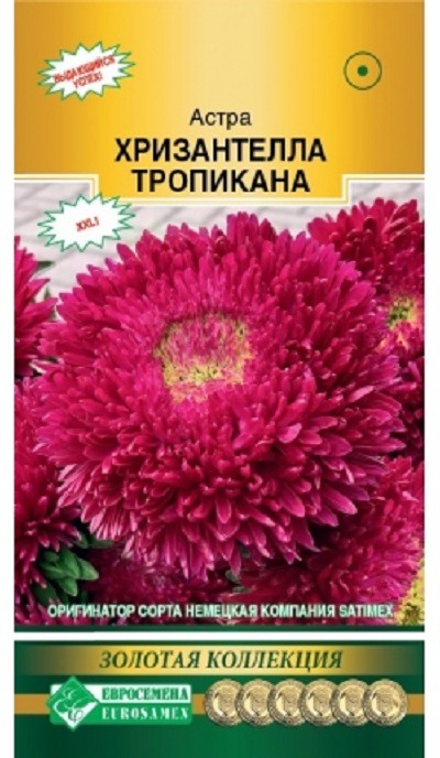 Семена Астра Хризантелла (Eurosamen) Тропикана 5шт