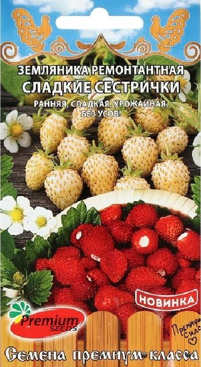 6f5dc2c2c3789fee3fb6b8c795d6b9c4