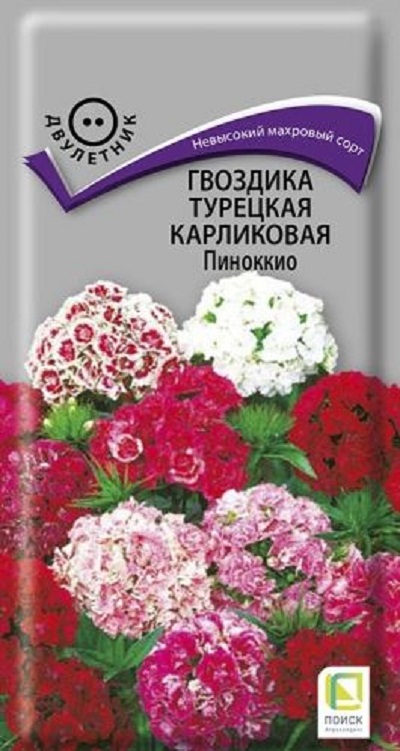 Семена Гвоздика (Поиск) Пиноккио турецкая 0,3гр