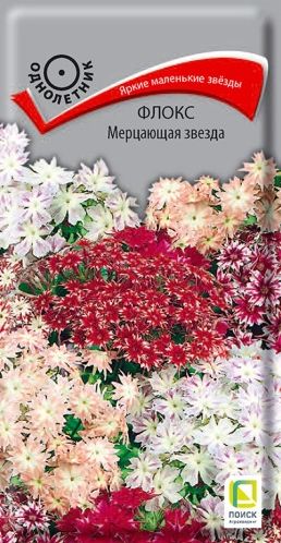 Семена Флокс (Поиск) Мерцающая звезда 0,2гр